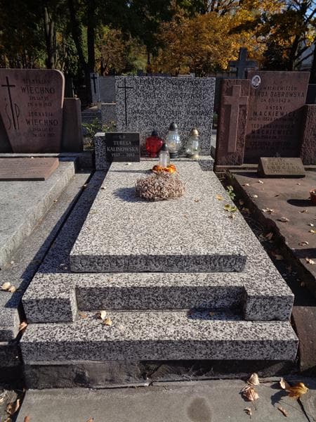 Zdjęcie grobu Cecylia Onuczyńska (1)