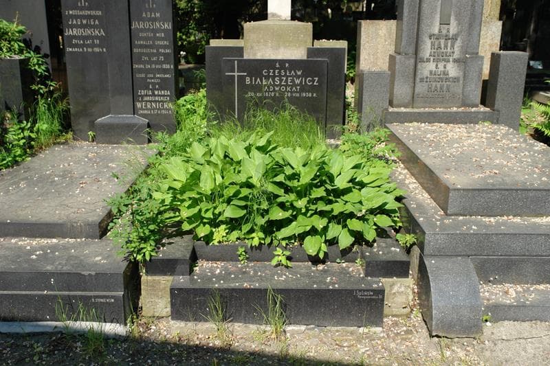 Zdjęcie grobu Czesław Białaszewicz (1)