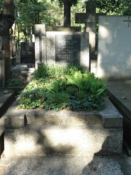Zdjęcie grobu: Leokadia Malczewska