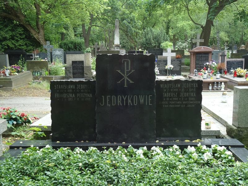 Zdjęcie grobu Franciszka Perzyna (2)