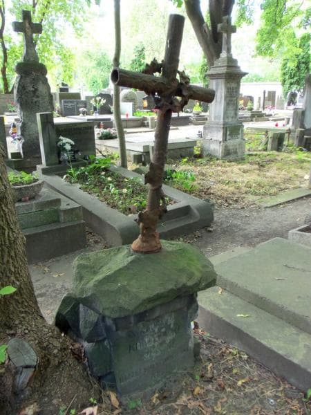 Zdjęcie grobu Wincenty Krajewski (2)