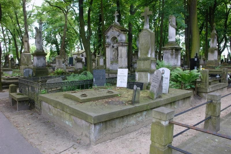 Zdjęcie grobu: Jan Habdank-Stpiczyński