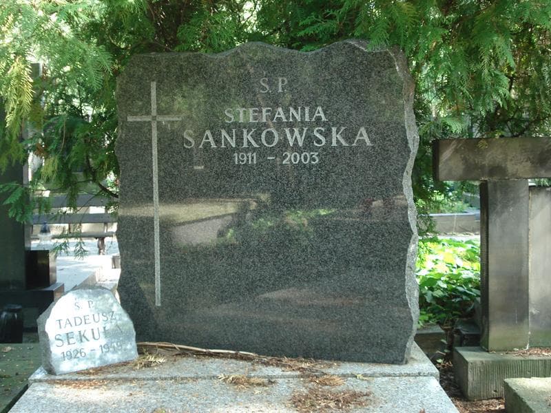 Zdjęcie grobu Tadeusz Sekuła (2)