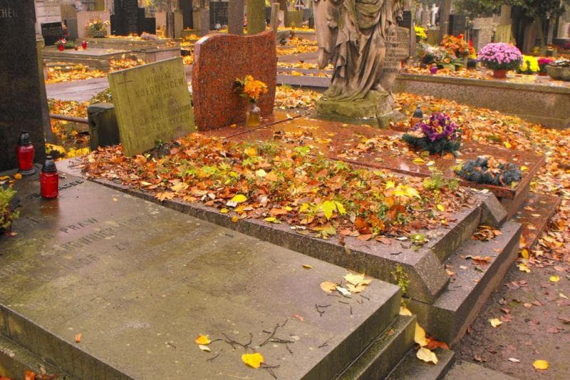 Zdjęcie grobu Mikołaj Kołomojcew (1)
