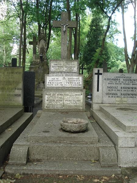 Zdjęcie grobu: Pelagia Kobylińska