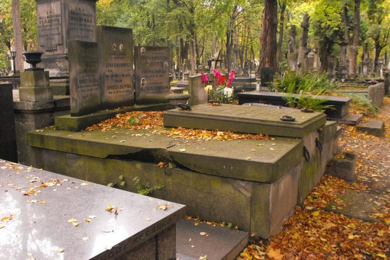 Zdjęcie grobu Stefania Wróblewska (1)