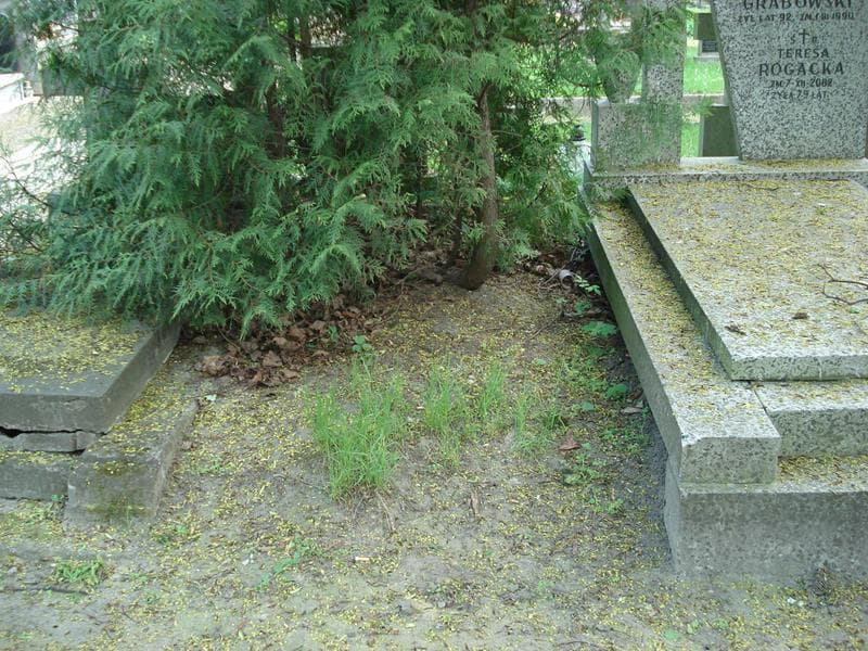 Zdjęcie grobu: Pole Grobowe
