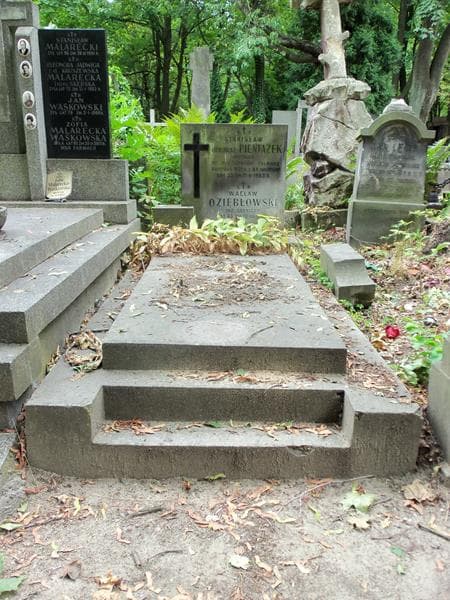 Zdjęcie grobu: Stanisław Ordowąż-Pieniążek