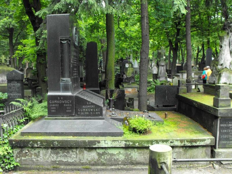 Zdjęcie grobu Aniela Leszczyńska (1)