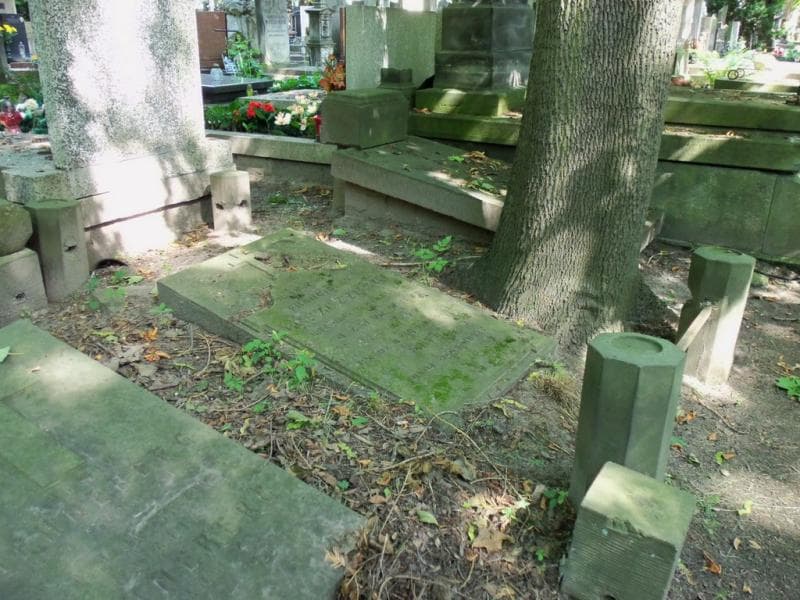 Zdjęcie grobu Franciszek Leszczyński (1)