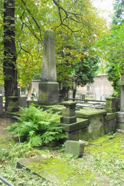 Zdjęcie grobu Zygmunt Bełkiewicz (1)