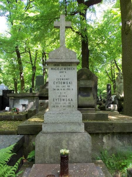 Zdjęcie grobu Zygmunt Cytowski (2)