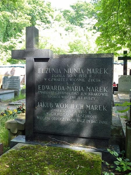 Zdjęcie grobu Edwarda Maria Marek (2)