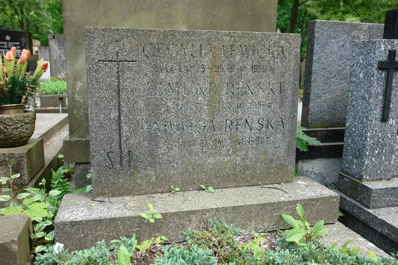 Zdjęcie grobu Cecylia Lewicka (2)