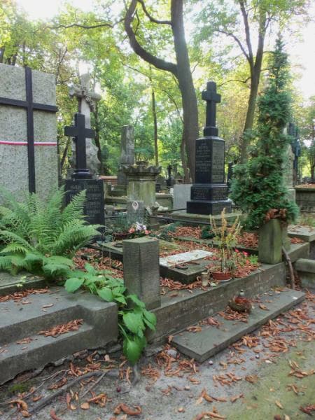 Zdjęcie grobu Henryk Bubiec (1)