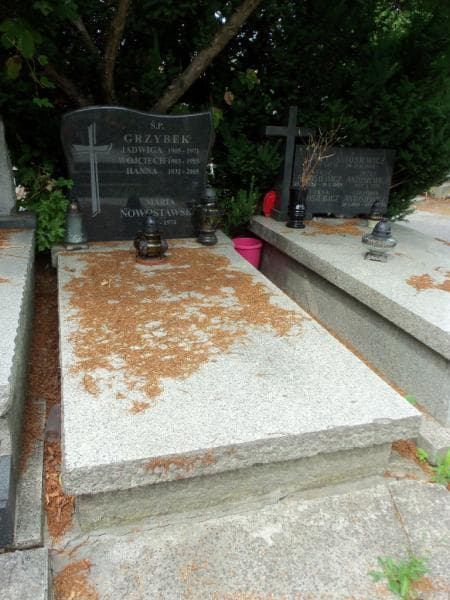Zdjęcie grobu Maria Nowostawska (1)