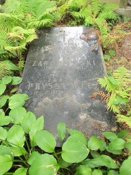 Zdjęcie grobu Tadeusz Zaborowski (2)