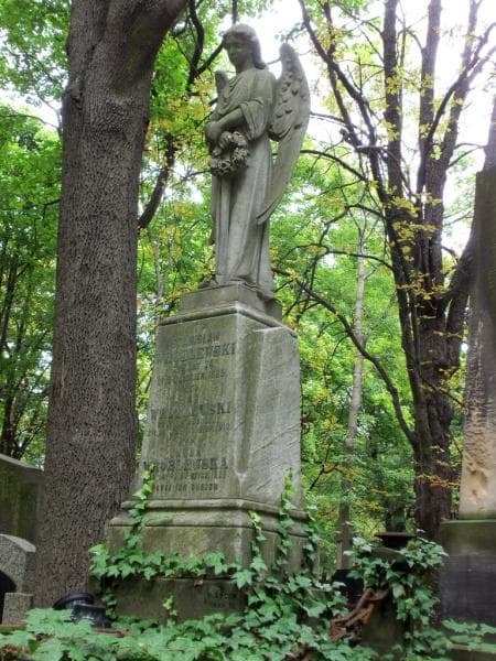 Zdjęcie grobu Jan Wróblewski (2)