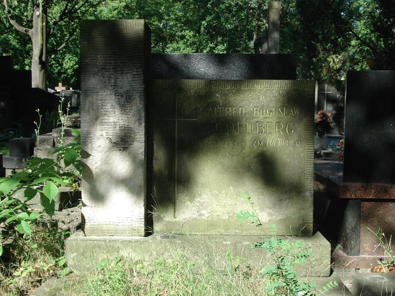Zdjęcie grobu Alfred Bogusław Goldberg (2)