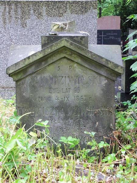 Zdjęcie grobu Franciszka Dziwulska (2)