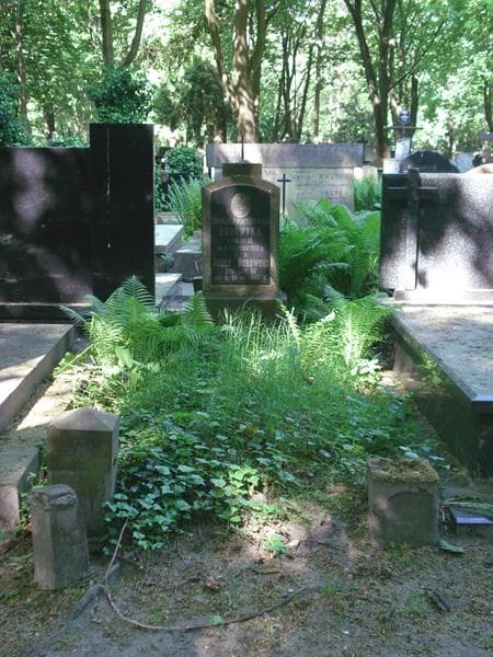 Zdjęcie grobu: Józef Borowski