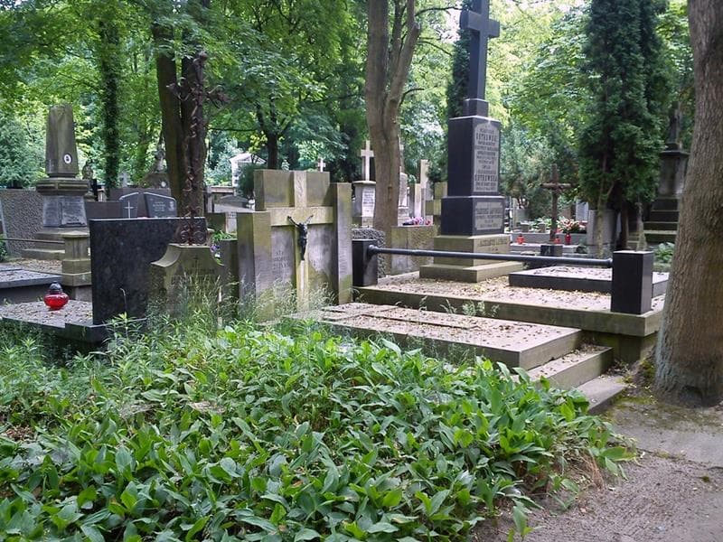Zdjęcie grobu: Antonina Baranowska