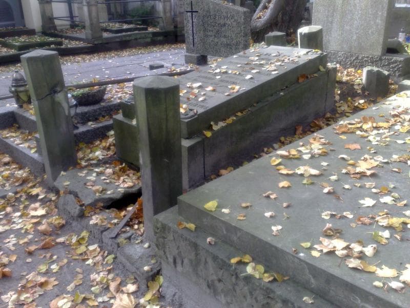 Zdjęcie grobu Ludwik Heryng (1)