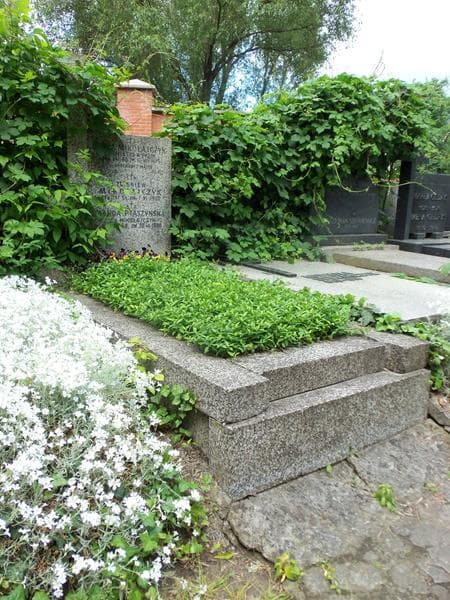 Zdjęcie grobu Wanda Ptaszyńska (1)