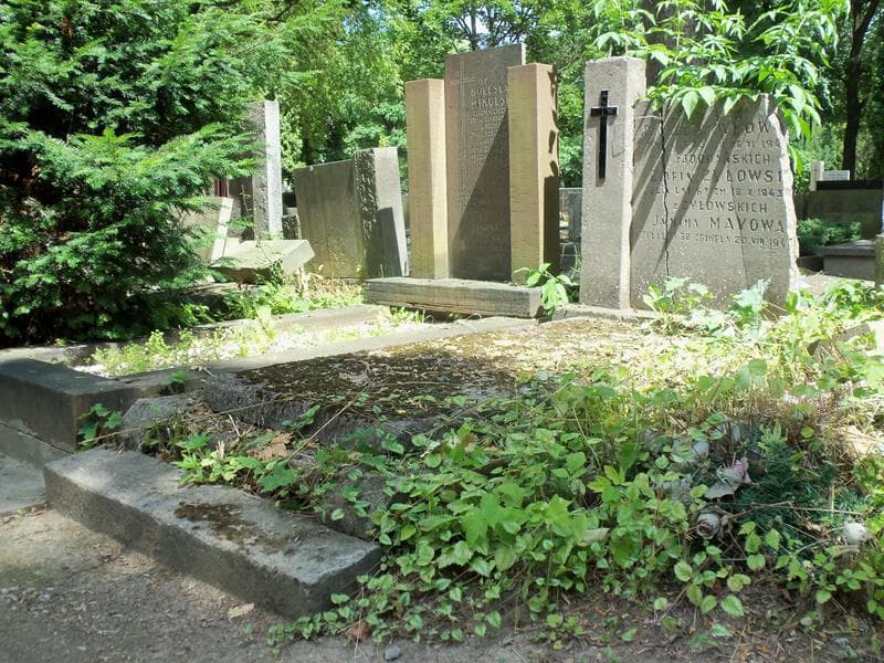 Zdjęcie grobu Leon Żyłowski (1)