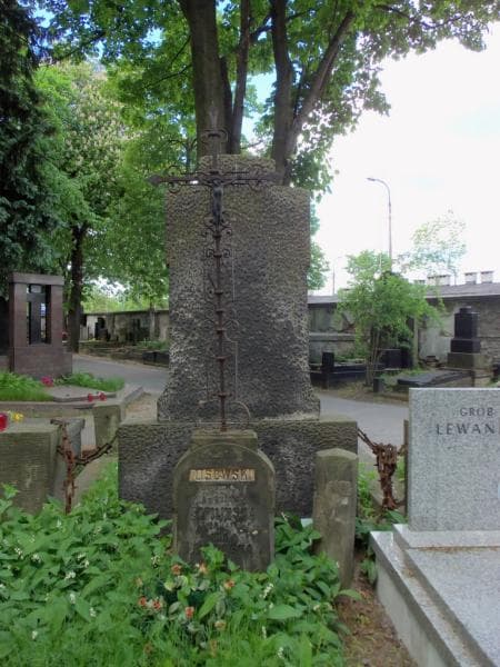 Zdjęcie grobu Teodor Lisowski (2)