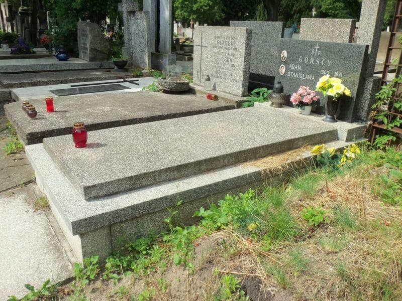 Zdjęcie grobu: Stanisława Górska