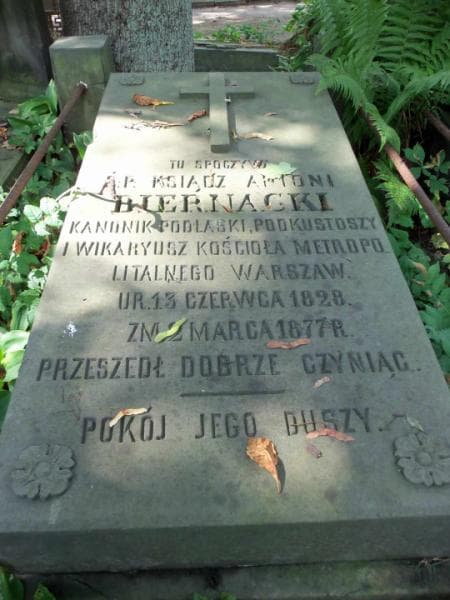 Zdjęcie grobu Antoni Biernacki (1)
