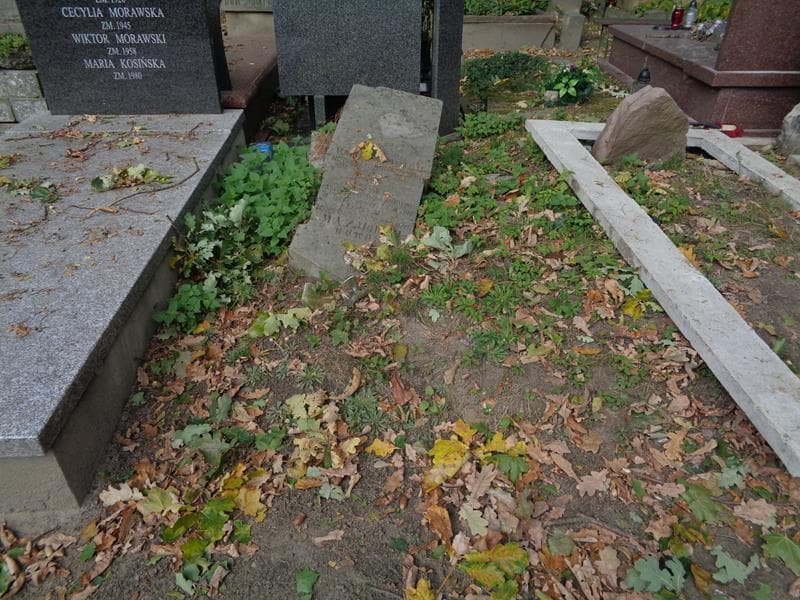 Zdjęcie grobu: Anonim