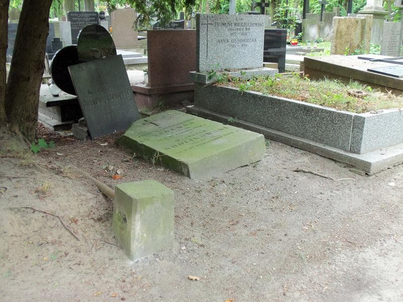 Zdjęcie grobu Halina Białynia-Żyżniewska (1)