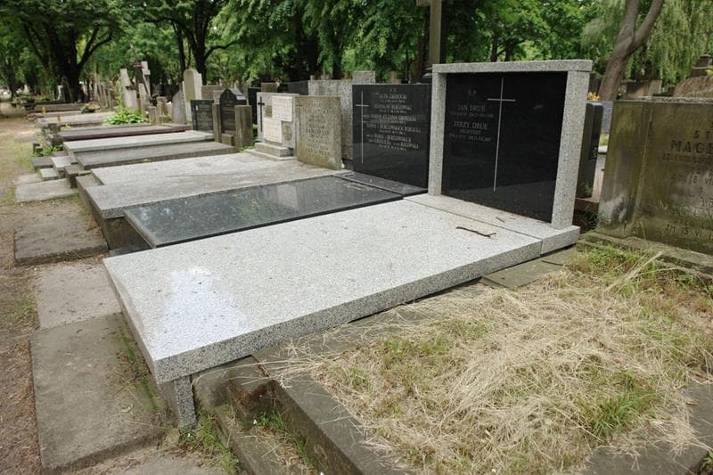 Zdjęcie grobu: Jerzy Drue