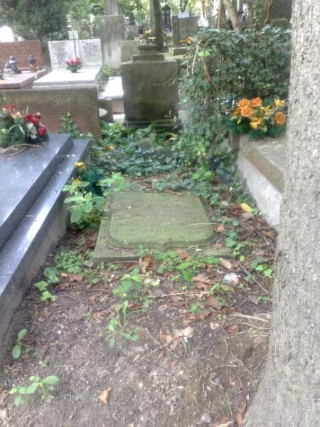 Zdjęcie grobu: Wilchelm Ward