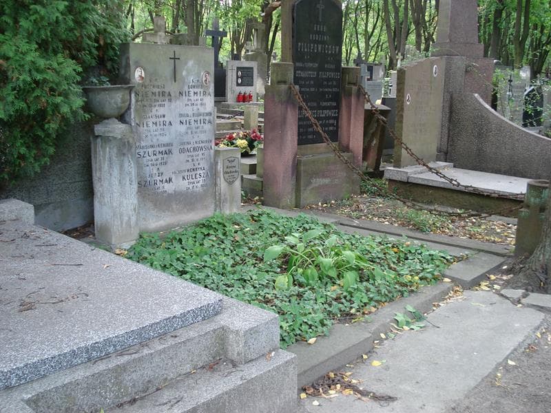 Zdjęcie grobu: Henryka Kulesza