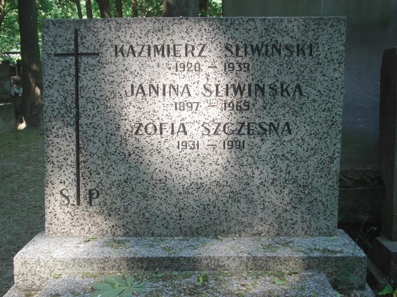 Zdjęcie grobu Zofia Szczęsna (1)