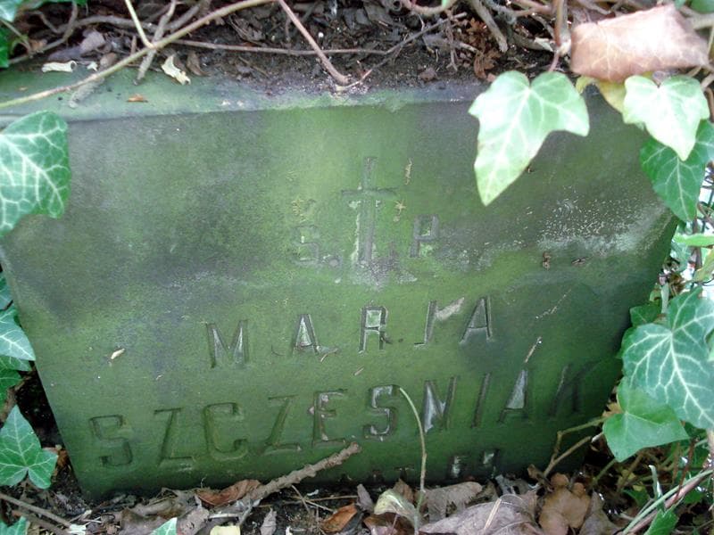 Zdjęcie grobu Marja Szczesniak (2)