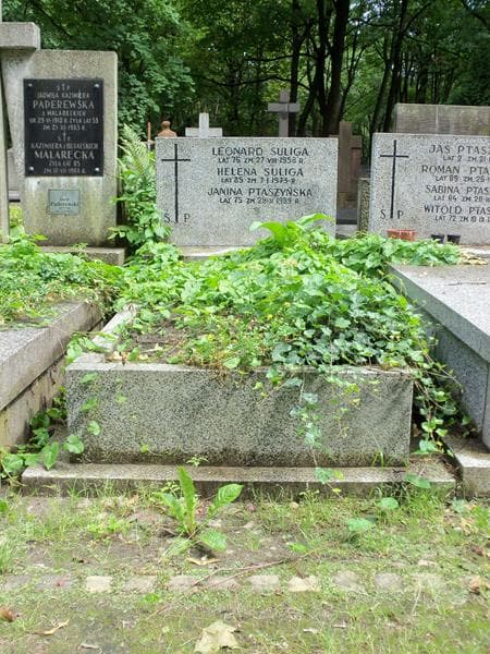 Zdjęcie grobu: Janina Ptaszyńska