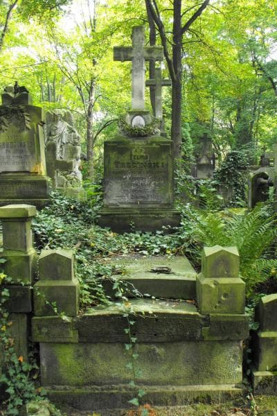 Zdjęcie grobu: Szymon Trzciński