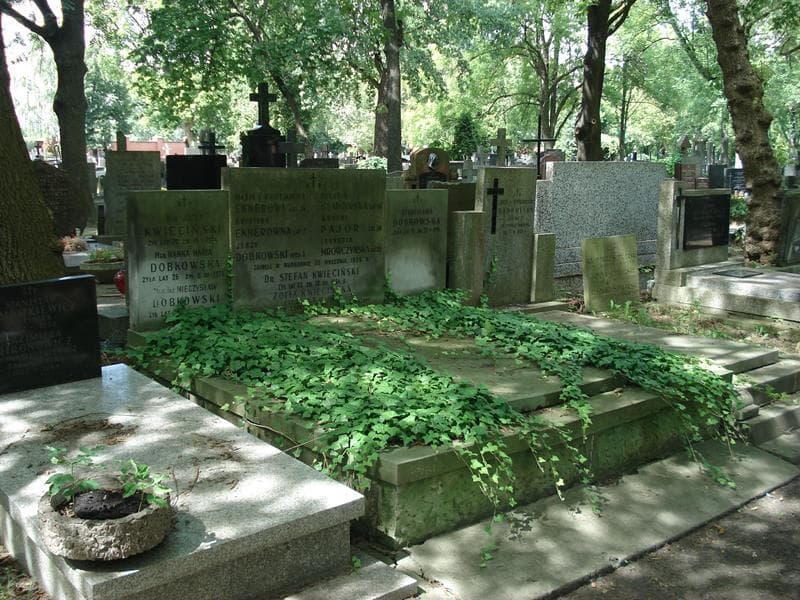 Zdjęcie grobu Jerzy Dobkowski (1)