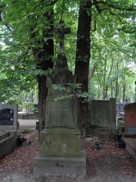 Zdjęcie grobu Bronisław Masałkowski (1)