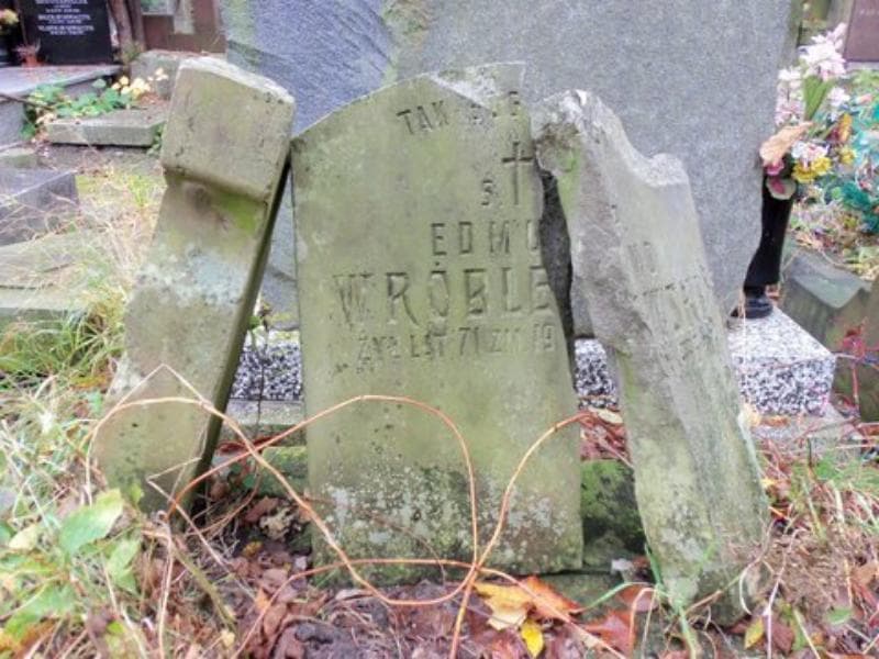 Zdjęcie grobu Edmund Wróblewski (2)