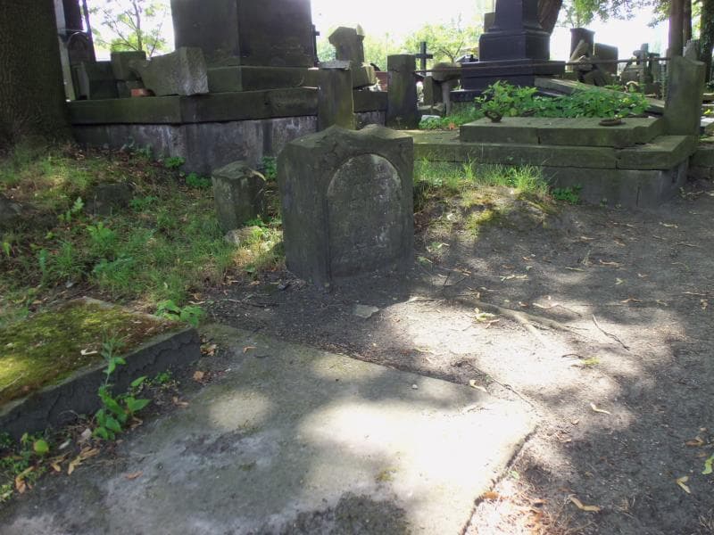 Zdjęcie grobu Pole Grobowe (appolonia Jankowska) (1)