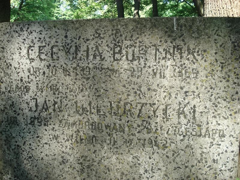 Zdjęcie grobu Jan Biedrzycki (2)