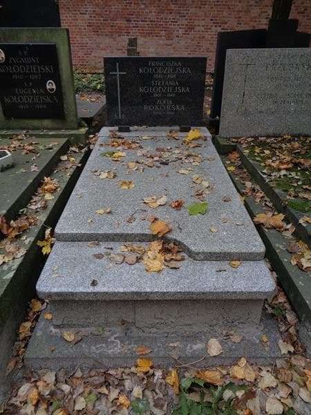 Zdjęcie grobu Stefania Kołodziejska (1)