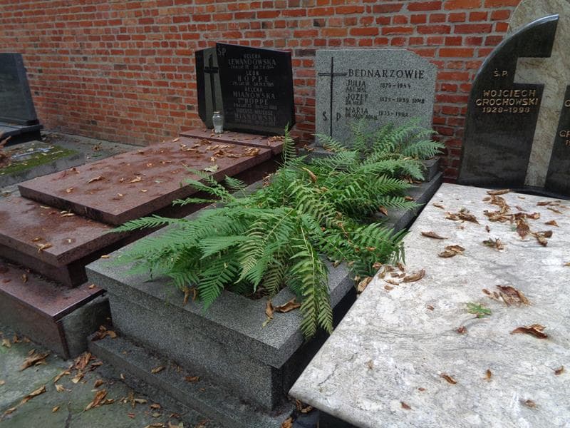 Zdjęcie grobu: Maria Bednarz