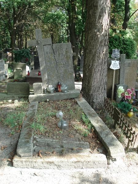 Zdjęcie grobu Faustyn Mierzwiński (1)