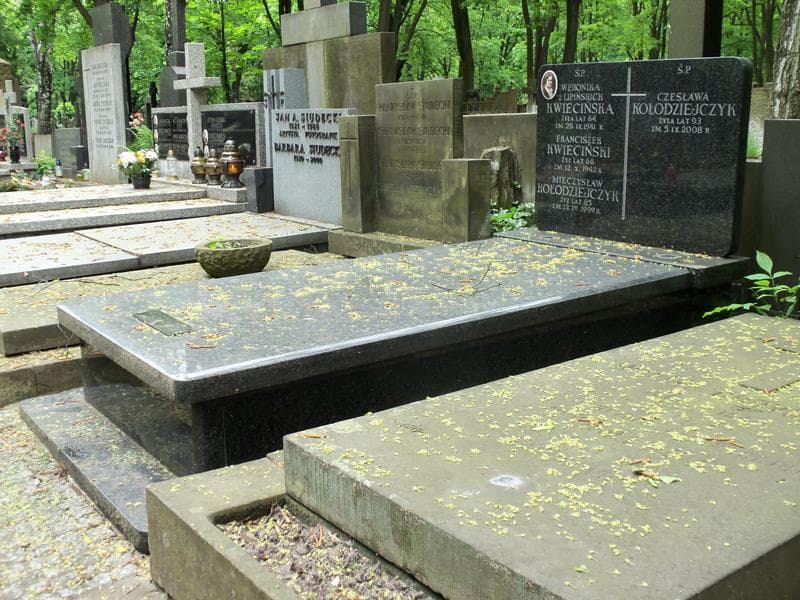 Zdjęcie grobu Weronika Kwiecińska (1)